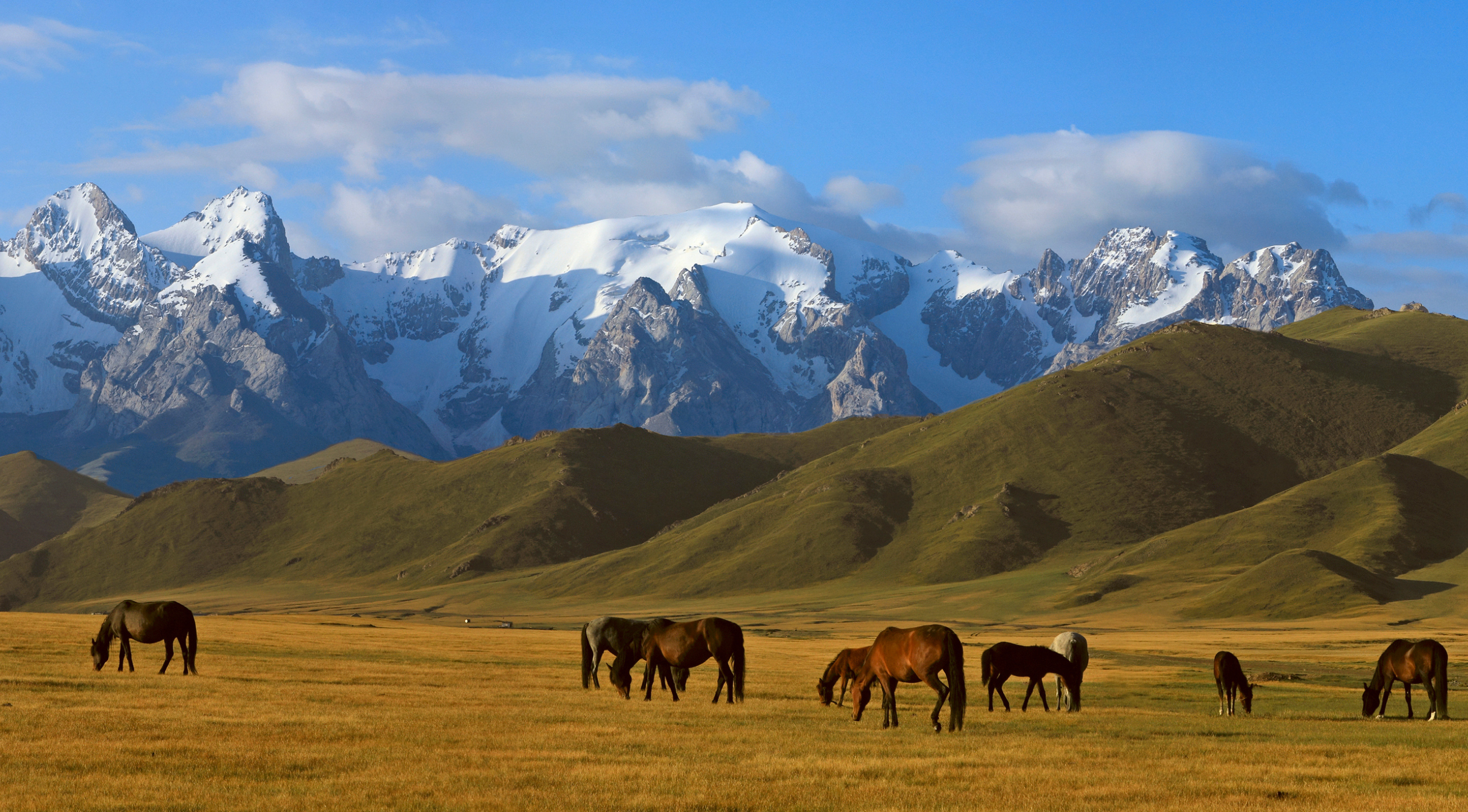 Kazachstan i Kirgistan - Szlakiem Nomadów